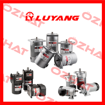 Luyang Gear Motor