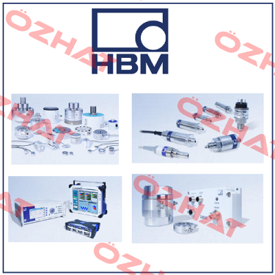 P8AP/100B-001  Hbm