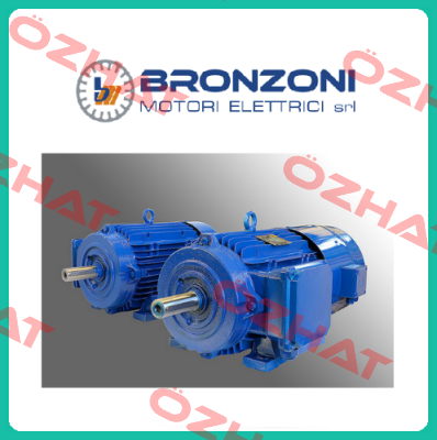 437Q1063B1100  Bronzoni