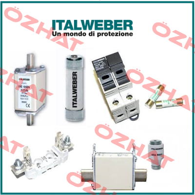 0100250 (pack x10) Italweber