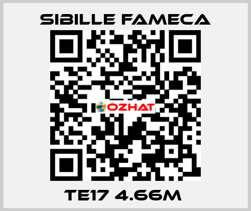 TE17 4.66M  Sibille Fameca