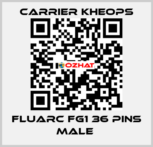 Fluarc FG1 36 Pins Male  Carrier Kheops