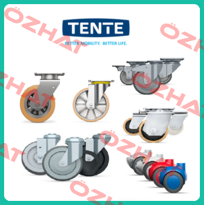 9958FTP150P65 (Teilenummer: 00806805-GS) Tente