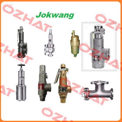 FF100-C-3/4"D1"-A11-212-CN2 12BARG  Jokwang