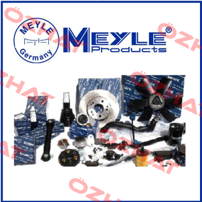 1130110036 OIL PUMP Meyle