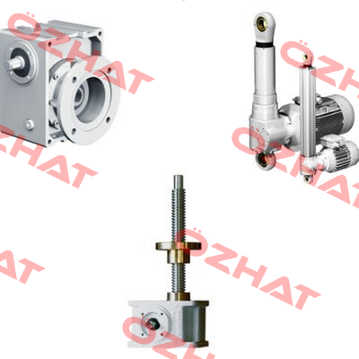 worm shaft for F050D0 Swedrive