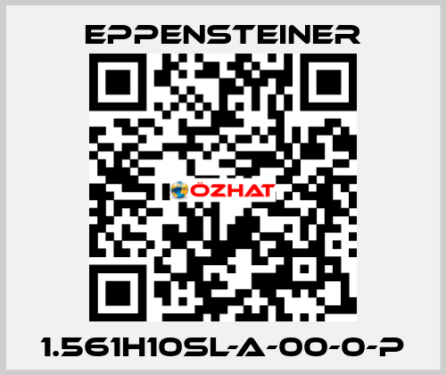 1.561H10SL-A-00-0-P Eppensteiner