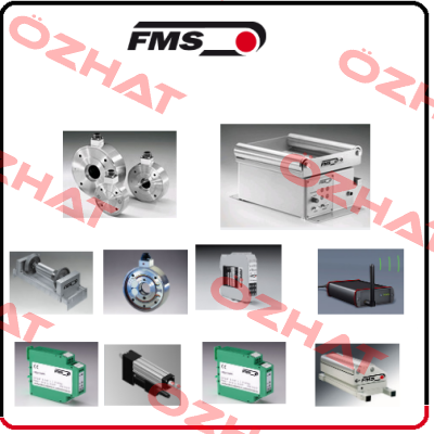 C203.250.17.PH Fms