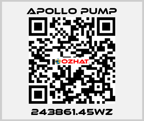 243861.45WZ Apollo pump