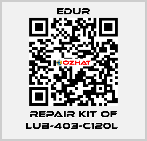 REPAIR KIT OF LUB-403-C120L  Edur