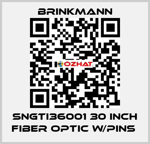 SNGTI36001 30 INCH FIBER OPTIC W/PINS  Brinkmann