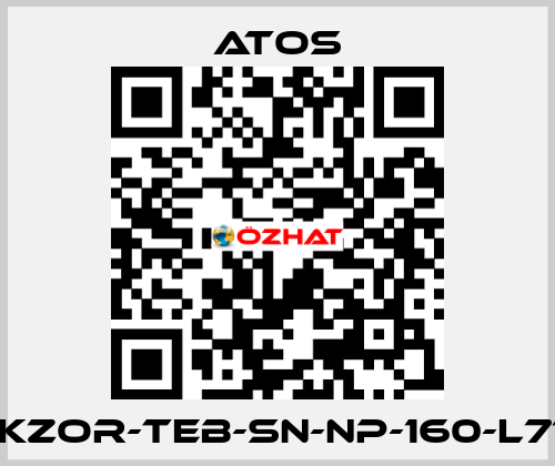 DLKZOR-TEB-SN-NP-160-L71/Q Atos