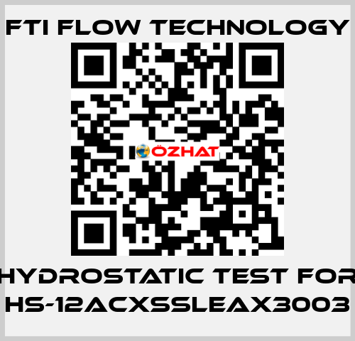 HYDROSTATIC TEST for HS-12ACXSSLEAX3003 Fti Flow Technology