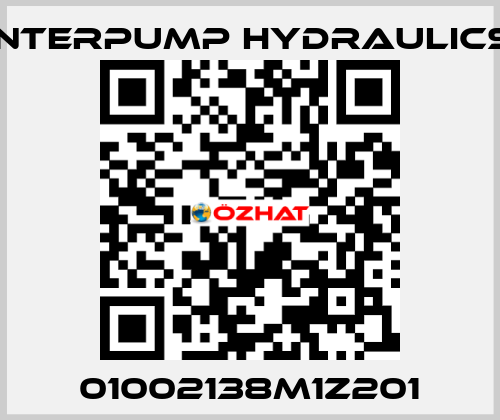 01002138M1Z201 Interpump hydraulics