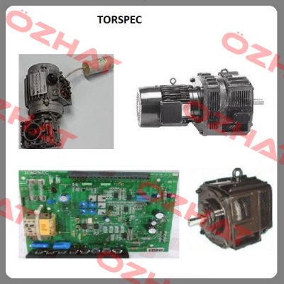 132TCD/6 (S/N 19029) TORSPEC