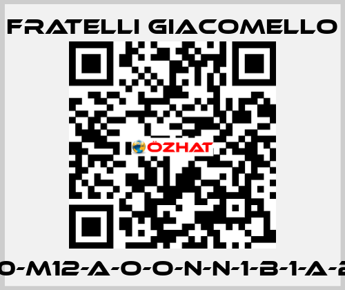 LV/E-S2-250-M12-A-O-O-N-N-1-B-1-A-2-0-0-A-0-0 Fratelli Giacomello