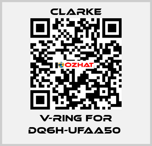 V-Ring for DQ6H-UFAA50  Clarke