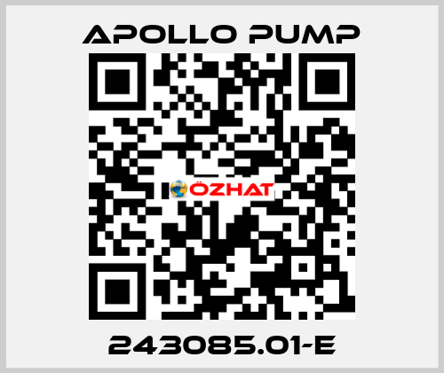 243085.01-E Apollo pump