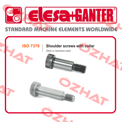 GN 35288  Elesa Ganter