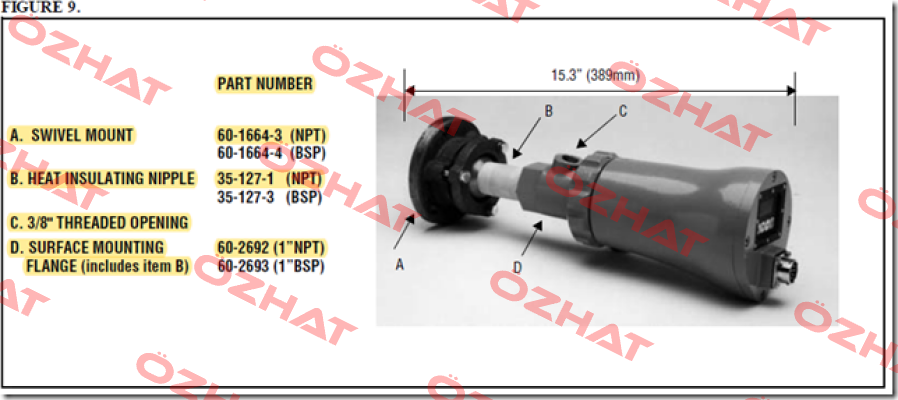 76090000 NPT 3/8" Fireye