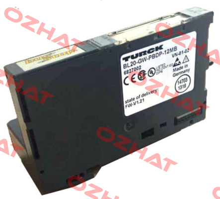 BL20-GW-PBDP-12MB Turck