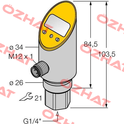 PS025V-301-LUUPN8X-H1141 Turck