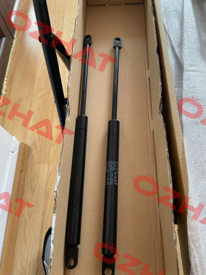 468029 0350N  070/08 CM14 Stabilus