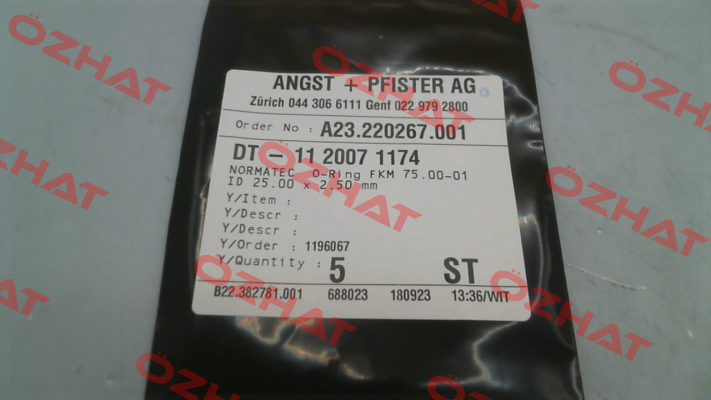 1120071174 Angst-Pfister