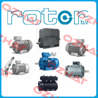 Rotor