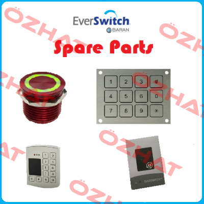 Everswitch