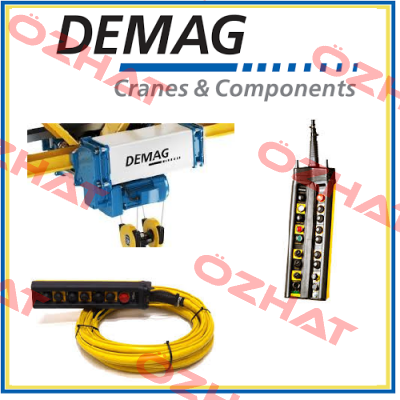 RU11DC-Pro2-250-1/1H5V8/2-380-415/50-200  Demag