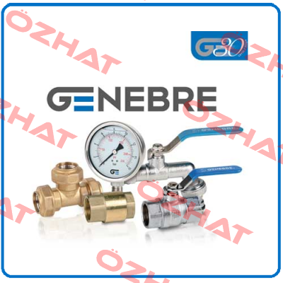 Repair kit for butterfly-valve DN250 PN10   Genebre