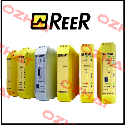 SP-R-13-309-81 Reer