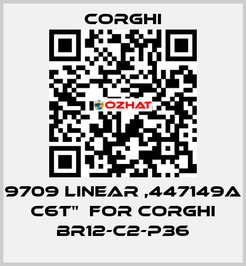 9709 LINEAR ,447149A C6T"  FOR CORGHI BR12-C2-P36 Corghi