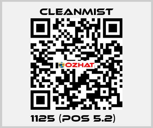 1125 (pos 5.2)   CleanMist