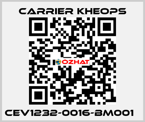 CEV1232-0016-BM001   Carrier Kheops