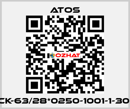 CK-63/28*0250-1001-1-30  Atos