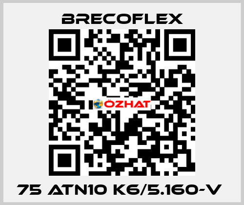 75 ATN10 K6/5.160-V  Brecoflex