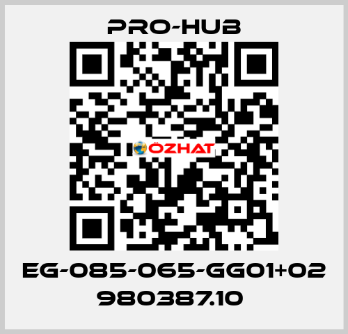 EG-085-065-GG01+02 980387.10  Pro-Hub