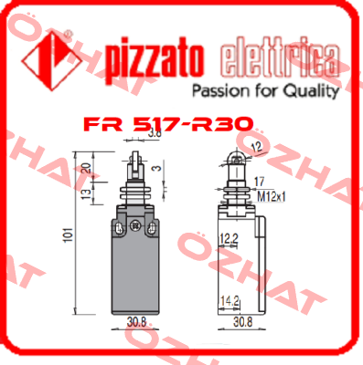 FR 517-R30 Pizzato Elettrica