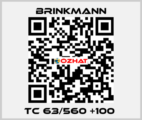 TC 63/560 +100  Brinkmann