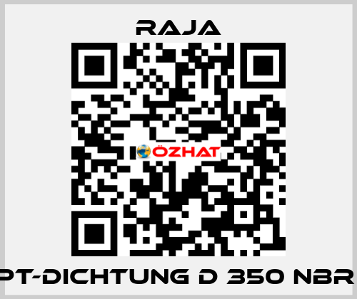 PT-Dichtung D 350 NBR  Raja