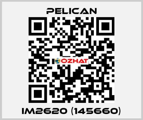 iM2620 (145660) Pelican