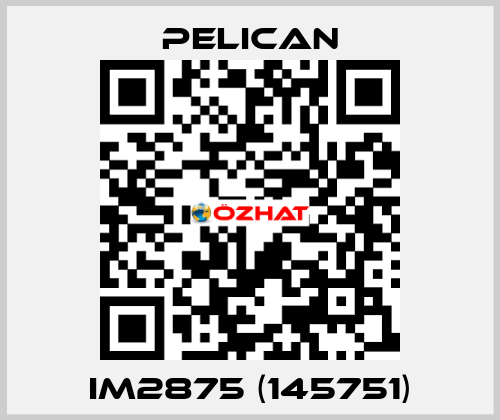 iM2875 (145751) Pelican