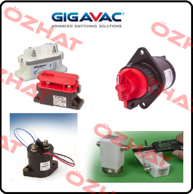 G81A 019 OEM Gigavac