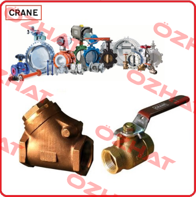 Ǿ 100 VALVES  Crane