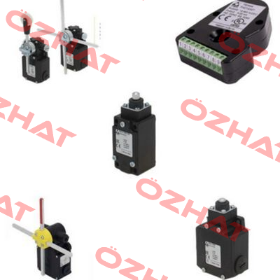 OVER LOAD LIMIT SWITCH P/N BT3 Ter Tecno Elettrica Ravasi