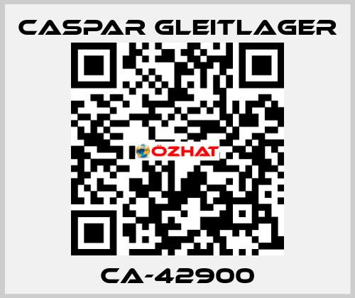 CA-42900 Caspar Gleitlager