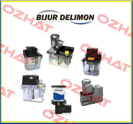 25932E Bijur Delimon