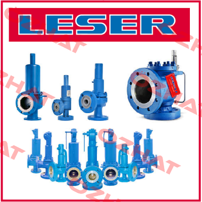 spare part: Spring with washers for Valve API 526 Leser